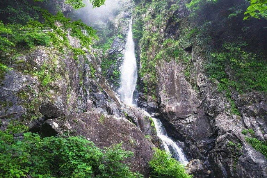 快乐问答,蜗牛乐园——我已经交了20年的养老保险,现在公司解除劳动合同了,问题是还有一年就退休了,请问这一年是我自己交?专属问答平台
